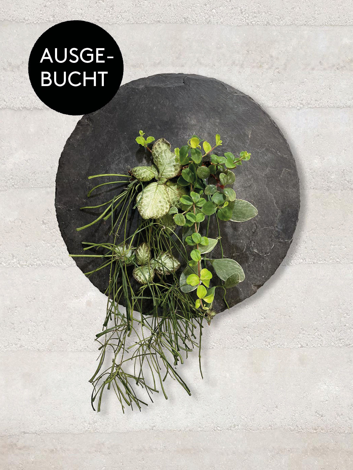 Greengap_ausgebucht
